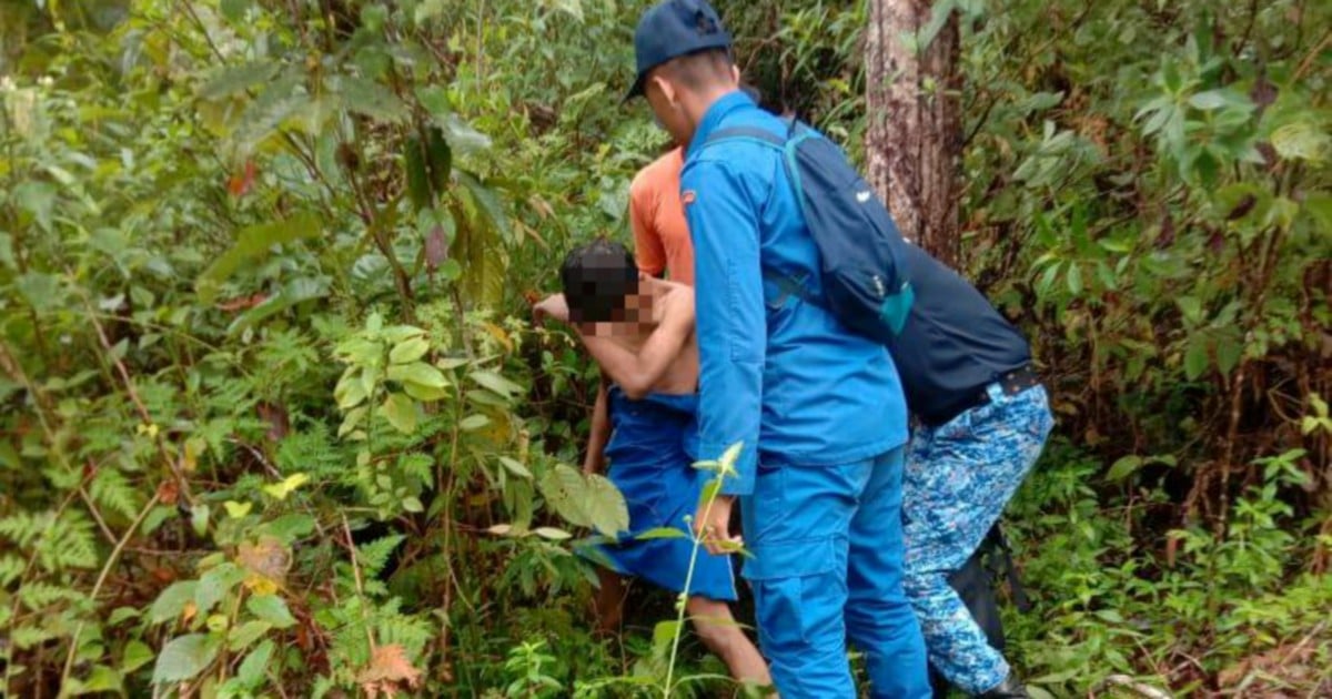 Teenager lost in jungle for four days found naked, hugging a tree | New ...