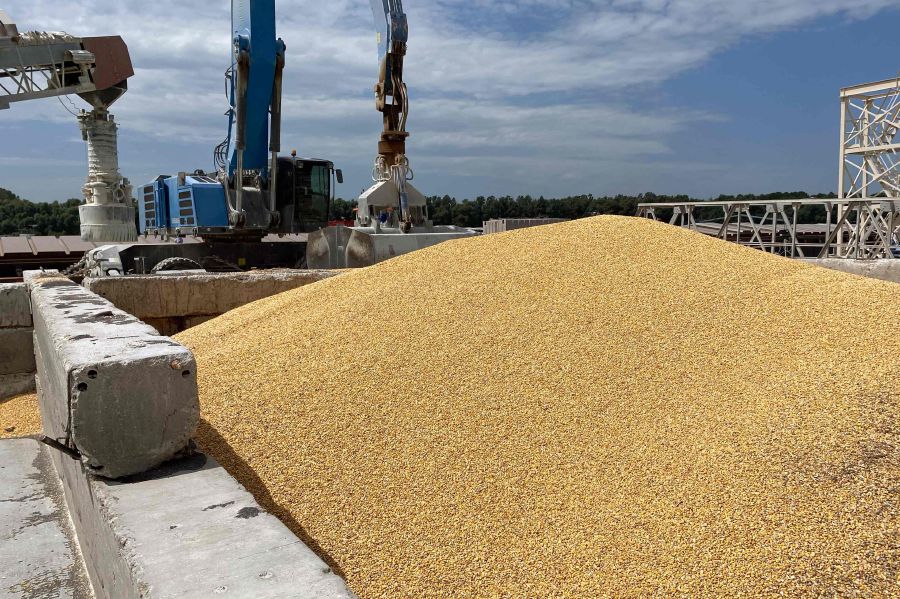 A pile of maize grains is seen on the pier at the Izmail Sea Port, Odesa region. - AFP pic