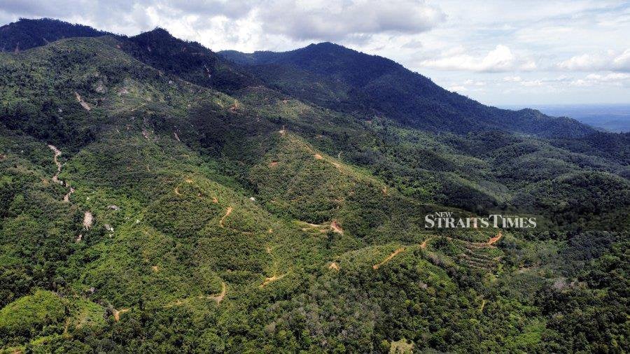 Logging activity which left part of the Gunung Inas forest exposed was done before Datuk Seri Ahmad Bashah Md Hanipah assumed power as Kedah’s 12th Menteri Besar. - NSTP/DANIAL SAAD