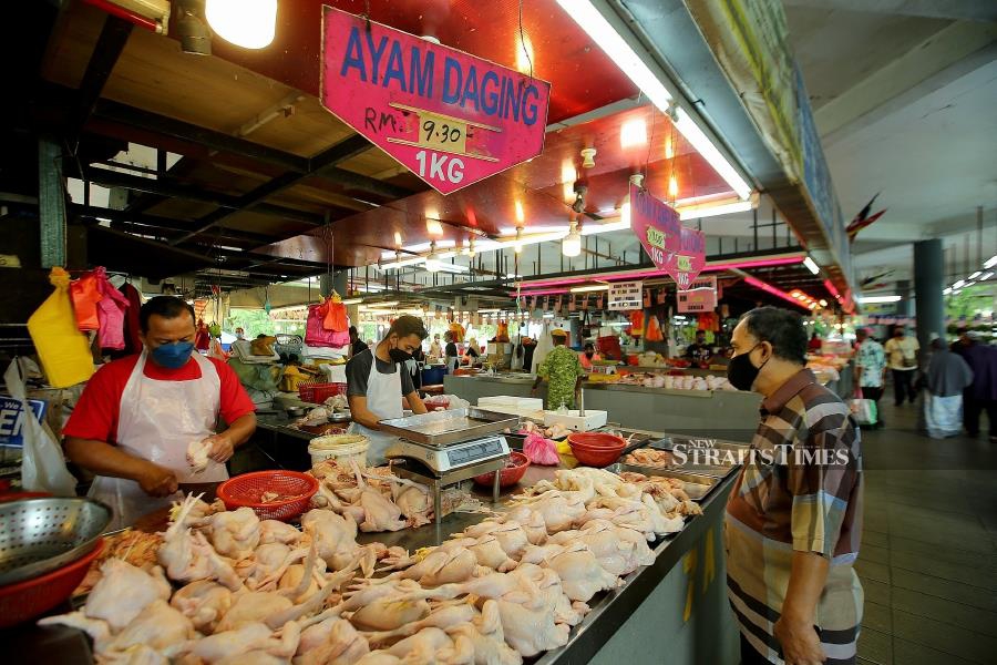 Traders also claimed shortage in supplies of chicken and eggs that had persisted from the beginning of the year and forced to absorb transport costs levelled on them since the government enforced the price control on chicken on Feb 5. - NSTP/FAIZ ANUAR 