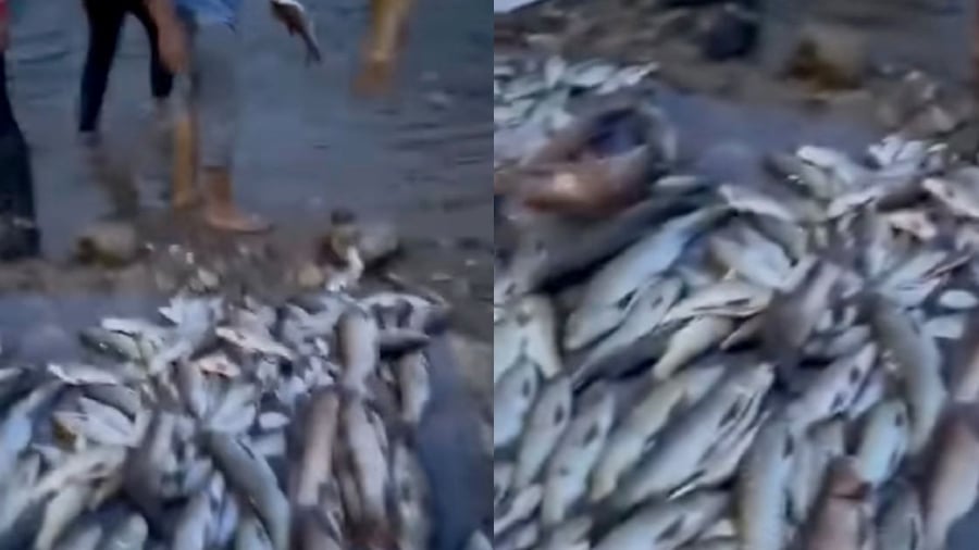 The Fisheries Department will investigate a video showing suspicious fishing activities and alleged violations of fishing laws involving prohibited materials, which surfaced on social media yesterday. - Screengrab via social media