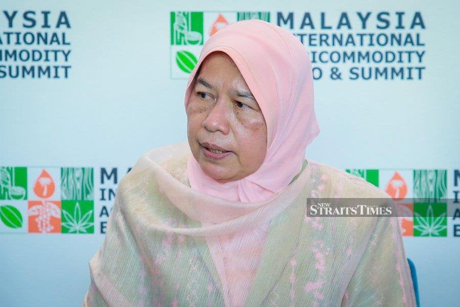 Its minister Datuk Zuraida Kamaruddin said the Global Movement to Champion the Goodness of Palm Oil was a digital, multimedia campaign targeted at a global audience, predominantly governments, agencies, stakeholders and media from the West. - NSTP/ASYRAF HAMZAH