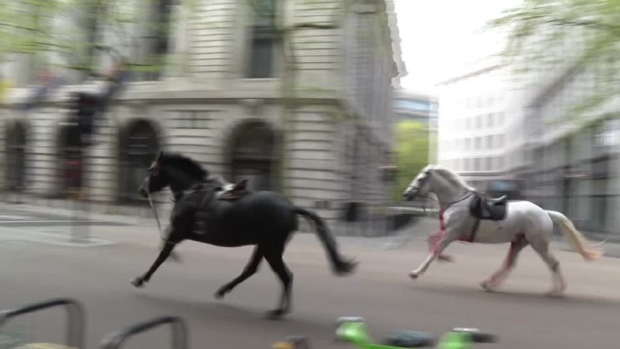 A number of military horses ran amok on the streets of central London and injured at least four people on Wednesday. - BBC video screenshot via Reuters