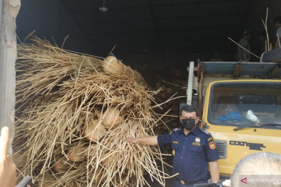 Rattan Smuggling Attempt Into Malaysia Thwarted