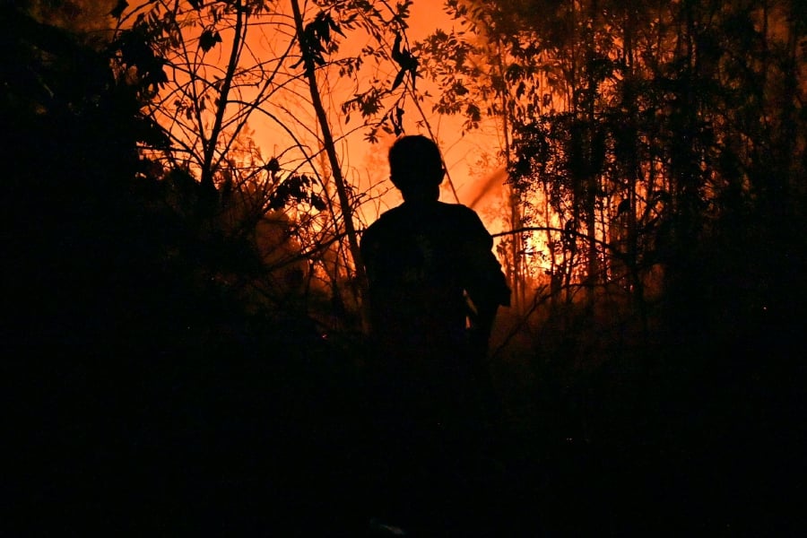 Klk Confirms Fires On Estate Vows To Cooperate With Indonesian