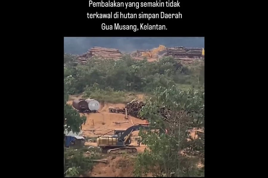 Environmental non-governmental organisation Sahabat Alam Malaysia has claimed that illegal logging activities is still rampant in a few permanent forest reserves in Kelantan. - Screengrab from Persatuan Aktivis Sahabat Alam (KUASA) X (Twitter)
