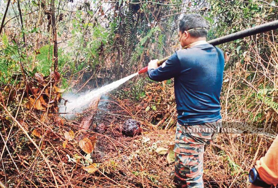 Forest, peat soil fires in Sri Aman under control | New Straits Times ...