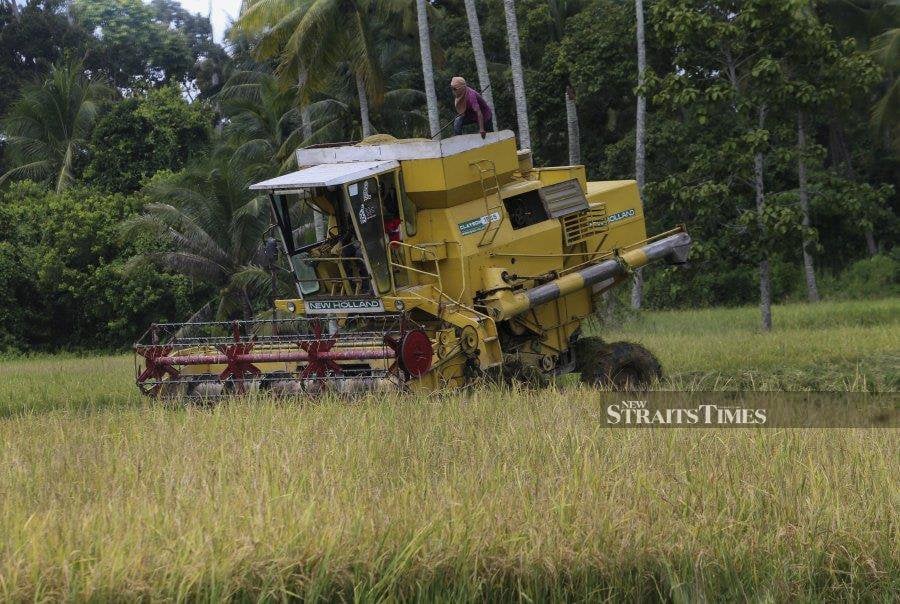 The Padi Crop Takaful Scheme is set to kick off in the middle of this year. - NSTP file pic