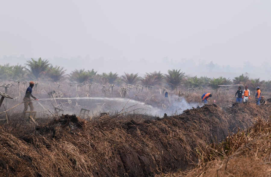 Kuala Langat Selatan Forest Fire Spreads To Over 40ha