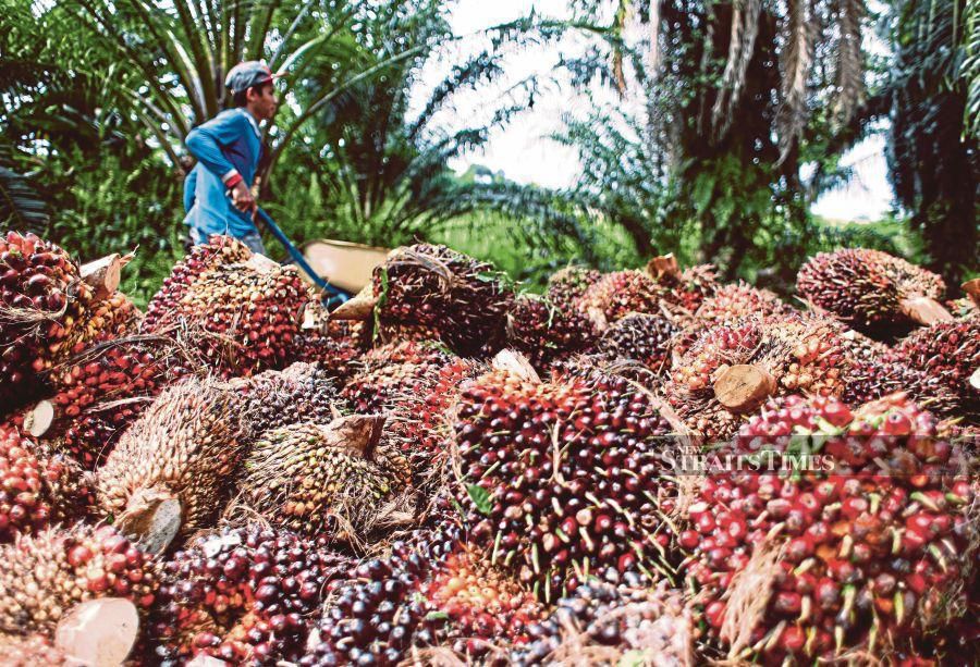 Her deputy minister Datuk Seri Wee Jeck Seng had also said that the ministry would monitor the development of the palm oil industry.. -NSTP/LUQMAN HAKIM ZUBIR