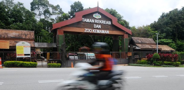 Shortcomings At Kemaman Zoo Being Addressed New Straits