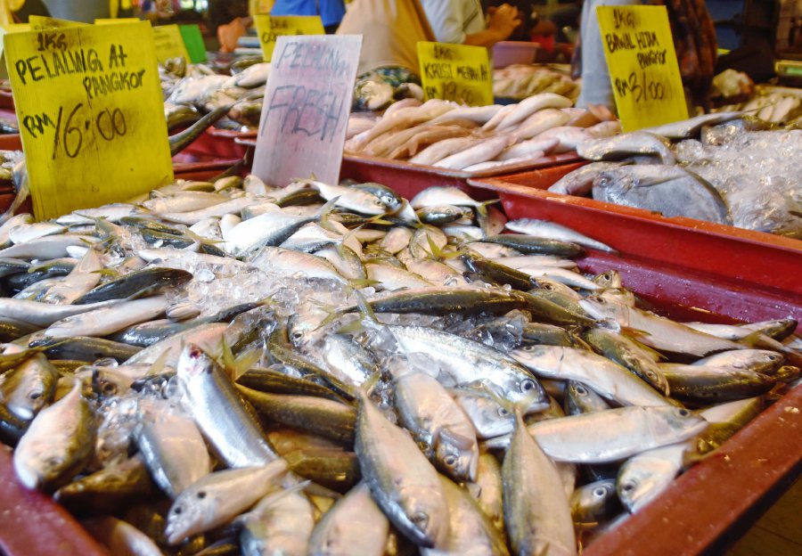 Ikan kembung prices to return to normal next month [VIDEO] | New