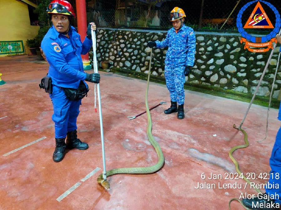 The Malaysian Civil Defence Force (APM) was swift to intervene following a distress call from the concerned caretaker. -Pic courtesy of Civil Defence Force
