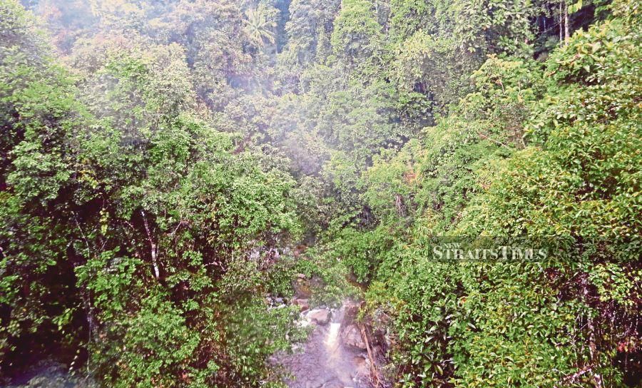 Freely translated to mean - “We do hereby declare and keep for you, and we permit you to declare and keep for your children and grandchildren, other than the mountains, lakes and reserve forests, Malay reserve land up to 50 per cent in size, the rest being available for you to seek and obtain together with the other communities." - NSTP file pic