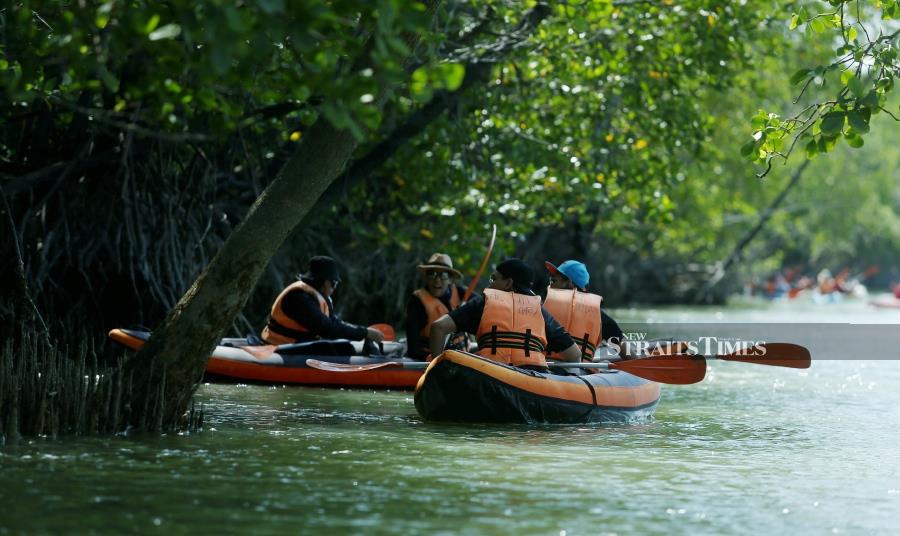 Though the high noon temperature reaches 38 degree celcius, the sight of lush mangrove trees, bright blue sky and cool breeze bring some comfort.