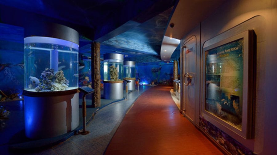Embark on this immersive experience at the Labuan Marine Museum, where the ocean’s mysteries are unveiled, nurturing a bond between humanity and the sea’s enigmatic creatures. - File pic credit (Labuan)