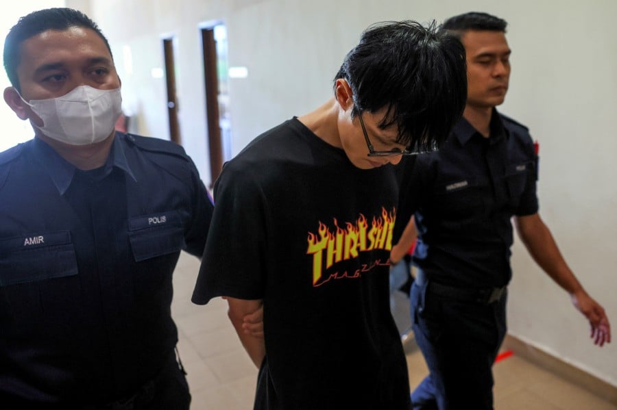 Loh Yin Teng, 29, pleaded not guilty to all the charges read before Magistrate Raja Norshuzianna Shakila Raja Mamat and Magistrate Tengku Eliana Tuan Kamaruzaman. - Bernama pic