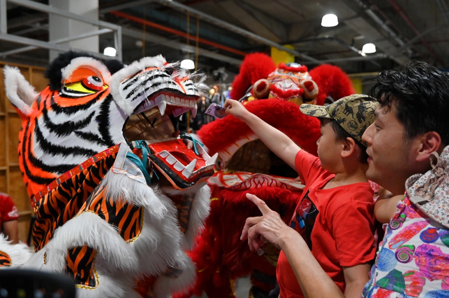 A child puts a bank note into the mouth of a tiger costume during a lion and tiger dance as part of Lunar New Year celebrations at Paddy’s Markets in Chinatown, Sydney, Australia, 29 January 2022. EPA pic