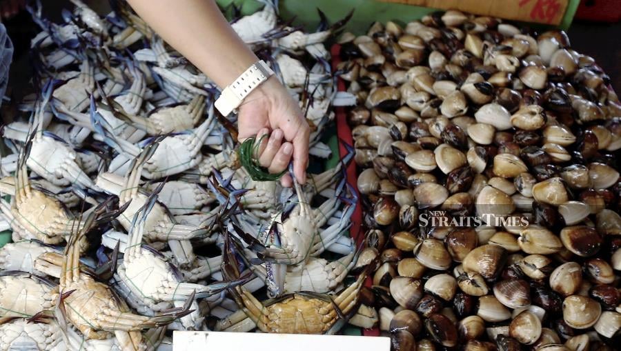 Like most Malaysians, Associate Prof Dr Ong Meng Chan was shocked after reading the news on Monday that seashells from some sections in the Straits of Malacca were unsafe for consumption. Pic by NSTP/MALAI ROSMAH TUAH