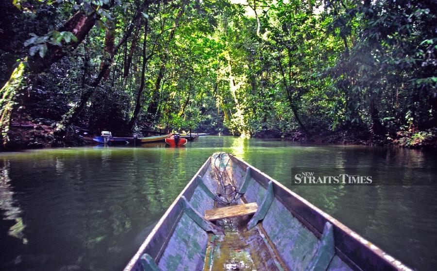 The two main caves of Clearwater and Wind in Gunung Mulu National Park are only accessible by longboat. 