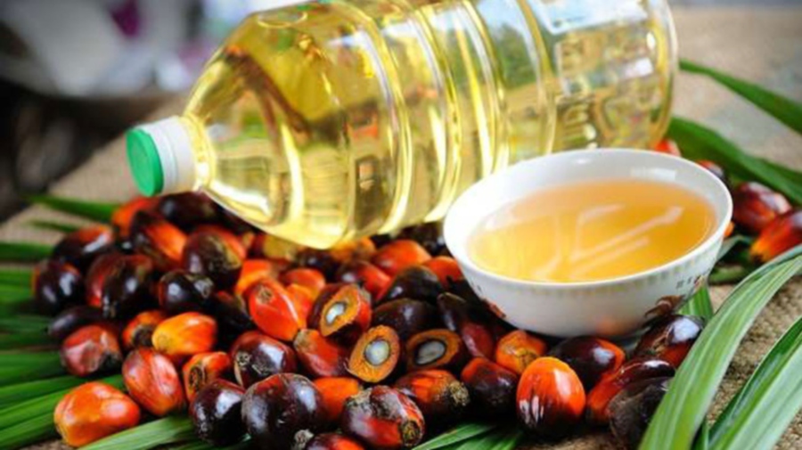 Malaysia Palm Oil Exports To India Hit New Record Low