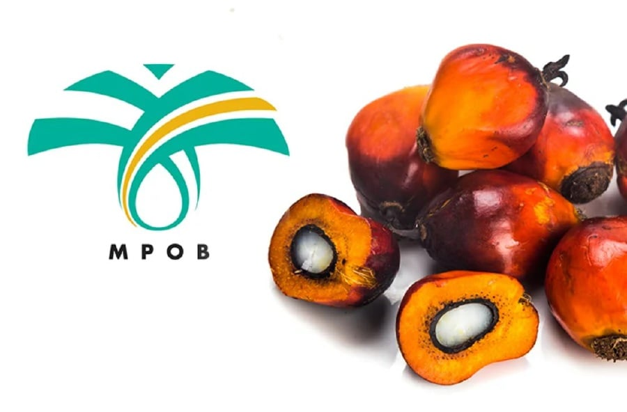 The Malaysian Palm Oil Board (MPOB) has launched two new technologies from the biotechnology and food clusters for commercialisation at the Transfer of Technology (TOT) MPOB 2023 here today.
