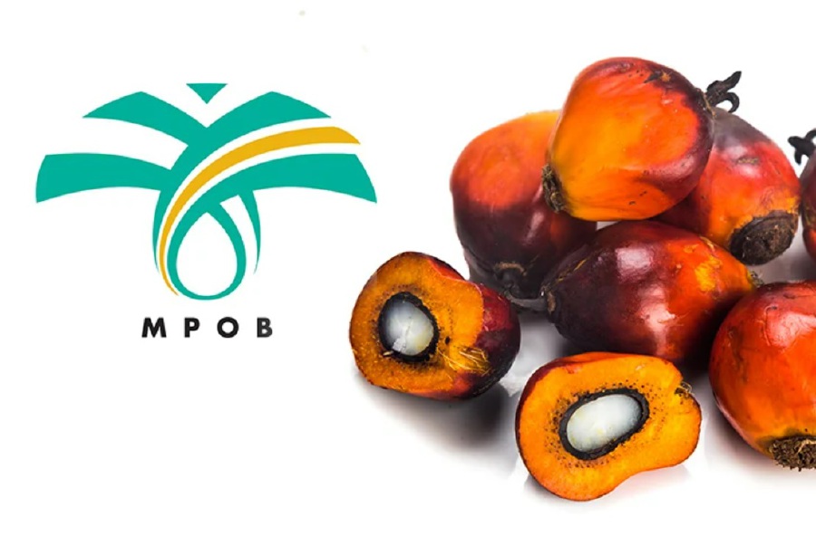 MPOB Unveils New Technologies To Produce Better Palms Use Palm Oil As 