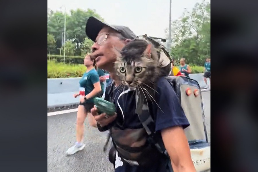 A video of a man and his cat running together in the Kuala Lumpur Standard Chartered Marathon (KLSCM) 2023 Boost Juice 10km run has captured the hearts of onlookers and gone viral on TikTok. - Screengrab from TikTok