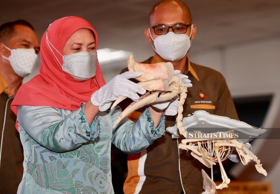 Tourism, Arts and Culture Minister Datuk Seri Nancy Shukri (left) said it was her ministry’s intention to ensure that the industry recovers and moves on along with its “Coming Back Stronger” slogan. -NSTP/FATHIL ASRI.