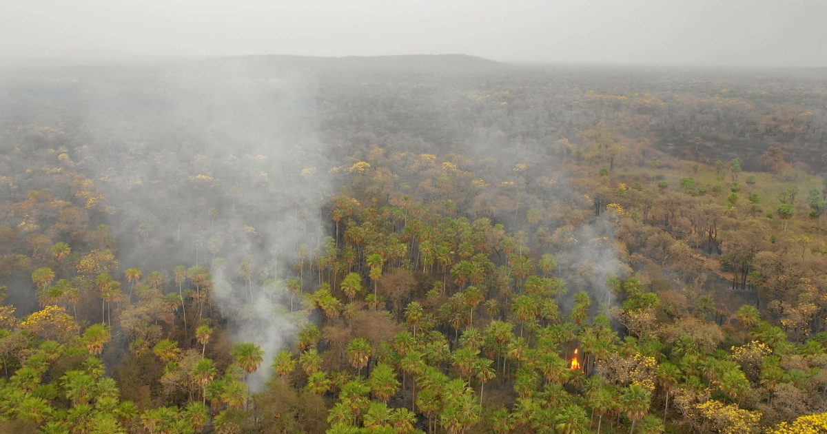 New fires rage in Amazon as Brazil military planes battle flames | New ...