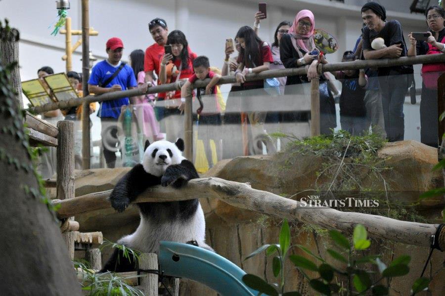 HULU KELANG: Crowds spend time with their families visiting the National Zoo during the Aidilfitri public holiday. - NSTP/AIZUDDIN SAAD