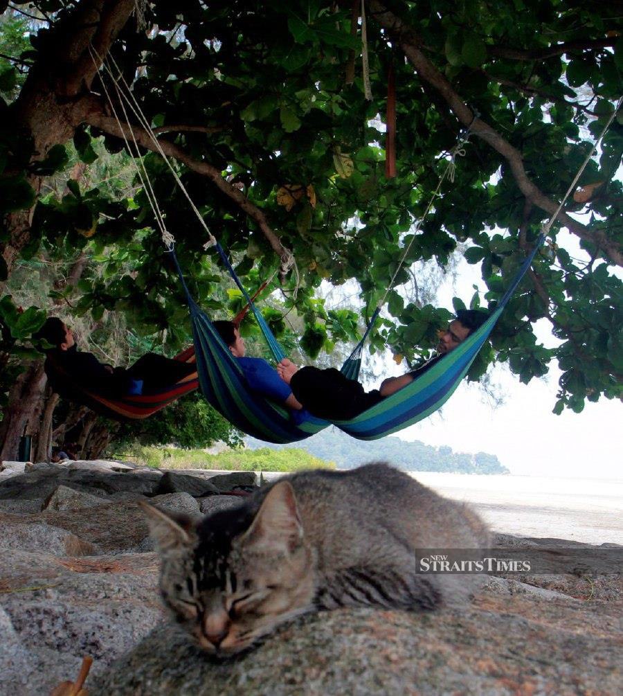 KUANTAN: Three boys and their cat taking a rest under a tree along a beach at Taman Gelora. -- BERNAMA PIC