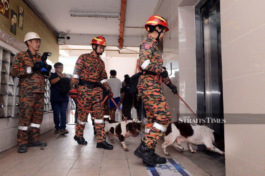 KUALA LUMPUR: Two dogs, Jim and Woody, from the K9 Unit of the Malaysian Fire and Rescue Department are being deployed to search for evidence in a fire incident at Sri Sabah Flat, Cheras. -- NSTP/AIZUDDIN SAAD
