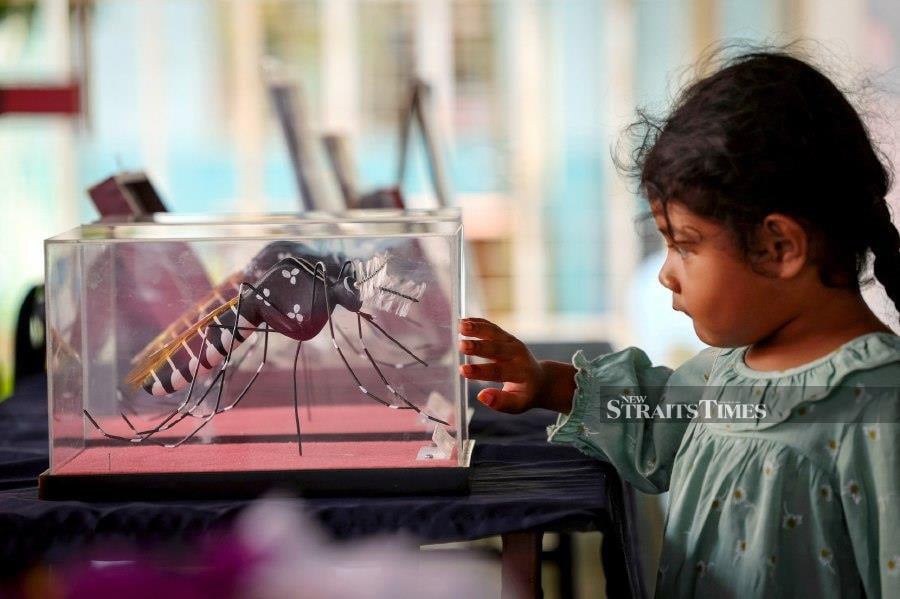 KUALA KUBU BARU: Nur Irdina Maisarah Abdul Rahim, 4, observes a replica of the Aedes aegypti mosquito displayed at the Health Screening Programme in Kampung Tun Abdul Razak, Kuala Kubu Baru. - BERNAMA PIC 