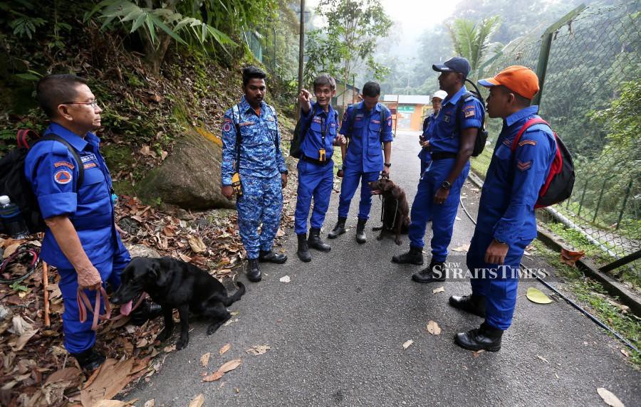 Search dogs are used to assist with the search and rescue mission. -NSTP/Iqmal Haqim Rosman