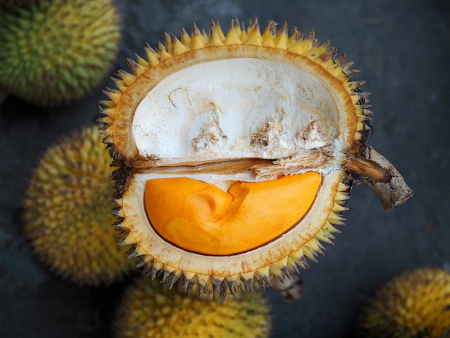 File pic credit (Year of the Durian)