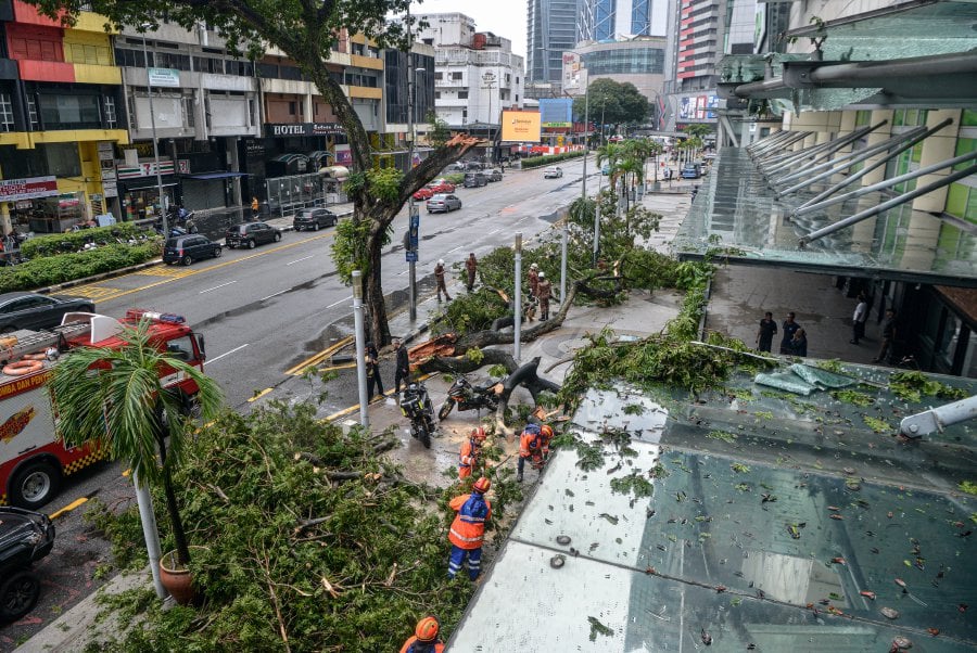KUALA LUMPUR: Members of the Civil Defense Force (APM) along with personnel from the Fire and Rescue Department cut and removed a fallen tree in front of the Maju Junction shopping center in the heart of the city at around 4pm. — BERNAMA