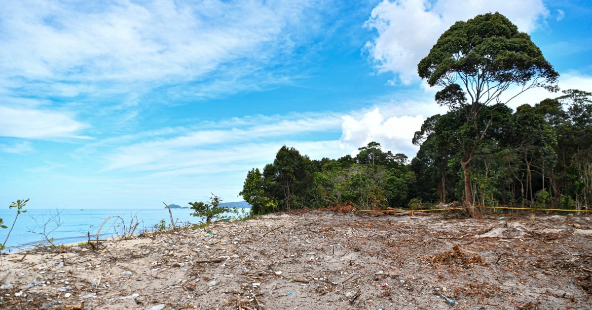 Re-gazette pantai Pasir Panjang, hentikan penambangan pasir ilegal, kata pihak berwenang