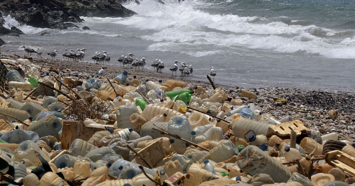 plastic-found-in-deepest-ocean-animals-new-straits-times