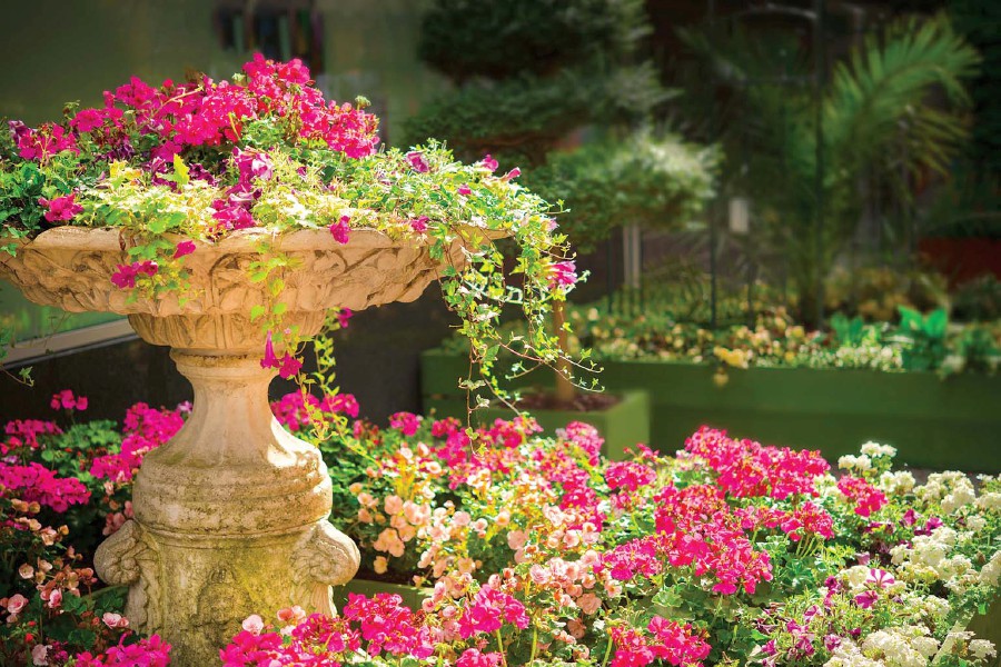 Grow tall shrubs or place small flower pots next to the fence to add vibrancy.