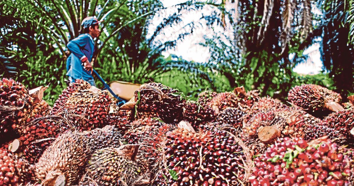 Palm Oil RSPO