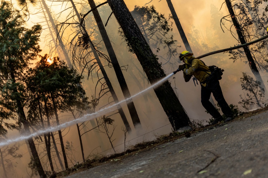 More than 500 firefighters are working to extinguish the flames with assistance from aircraft, Vasquez said..- REUTERS Pic