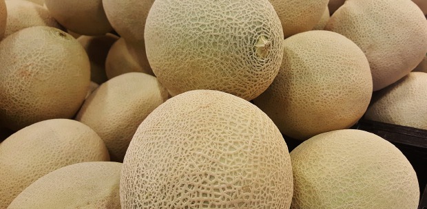 Rockmelons Imported After March 1 Safe For Consumption Health Ministry