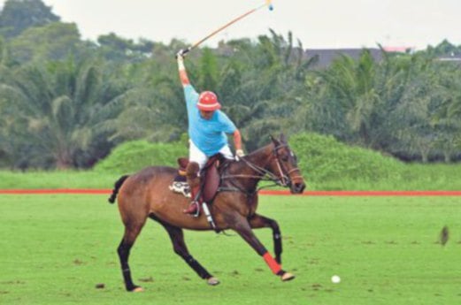 sultan johor bunuh kedi golf