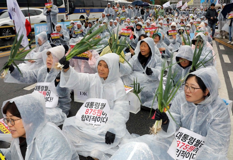 South Korean farmers at a protest in Seoul on March 25, holding up green onions with placards that read: ‘The president’s monthly salary of 875 won is appropriate!’. AFP PIC 