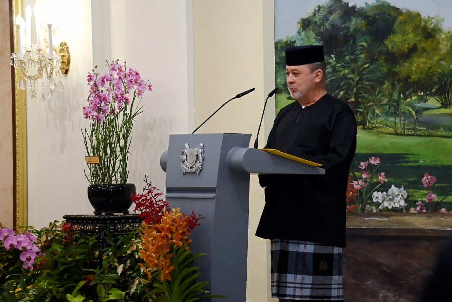 His Majesty Sultan Ibrahim, King of Malaysia has consented to grace the launch of National Landscape Day (HLN) at Taman Tasik Shah Alam on May 25. — BERNAMA FILE PIC