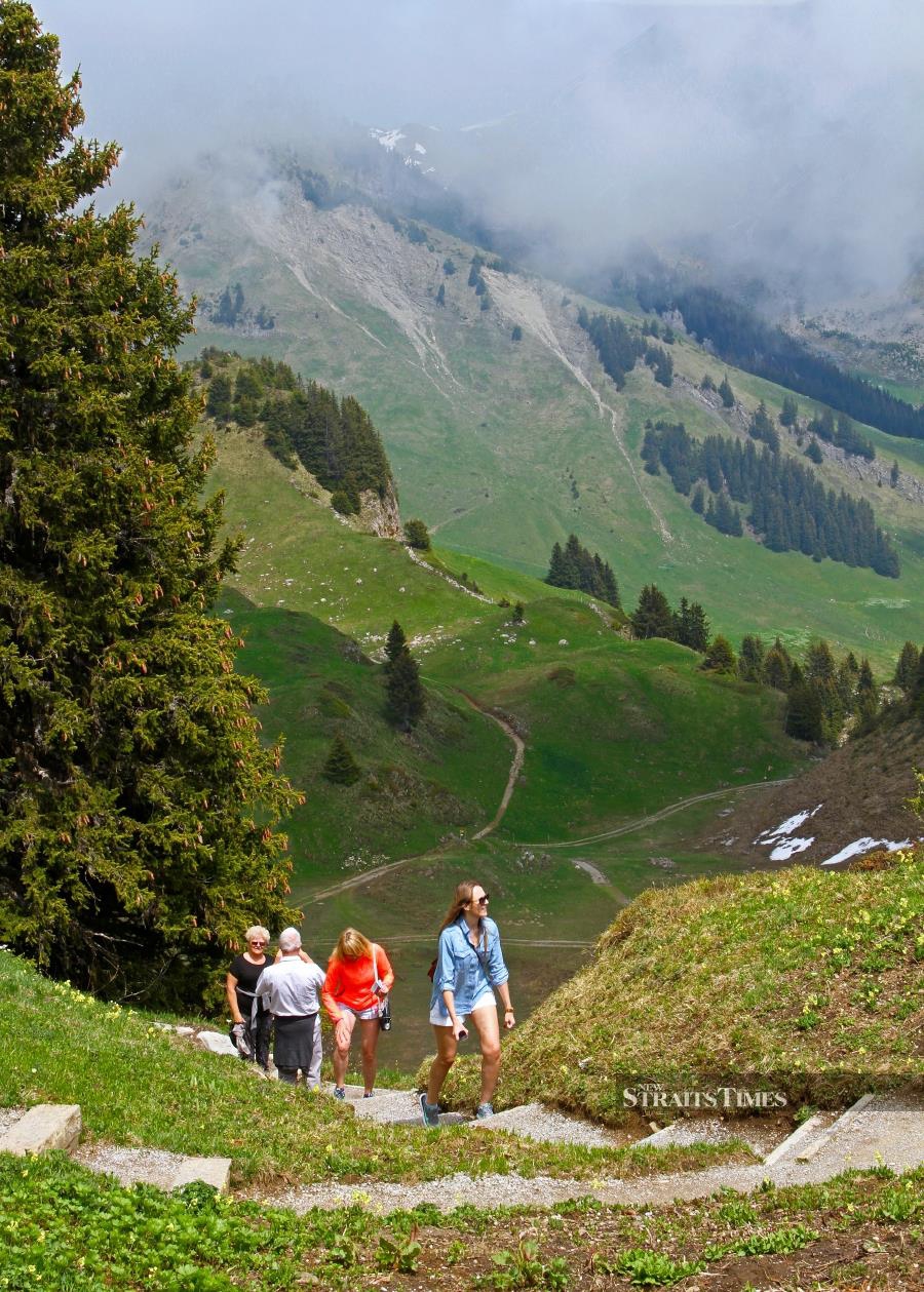 Since Schynige Platte is located just above Interlaken, be prepared for a steep hikes.
