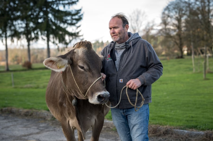 Farmer Rolf Rohrbach poses with one of his cows in the village of Aarwangen, central Switzerland. (Photo by Fabrice COFFRINI / AFP)