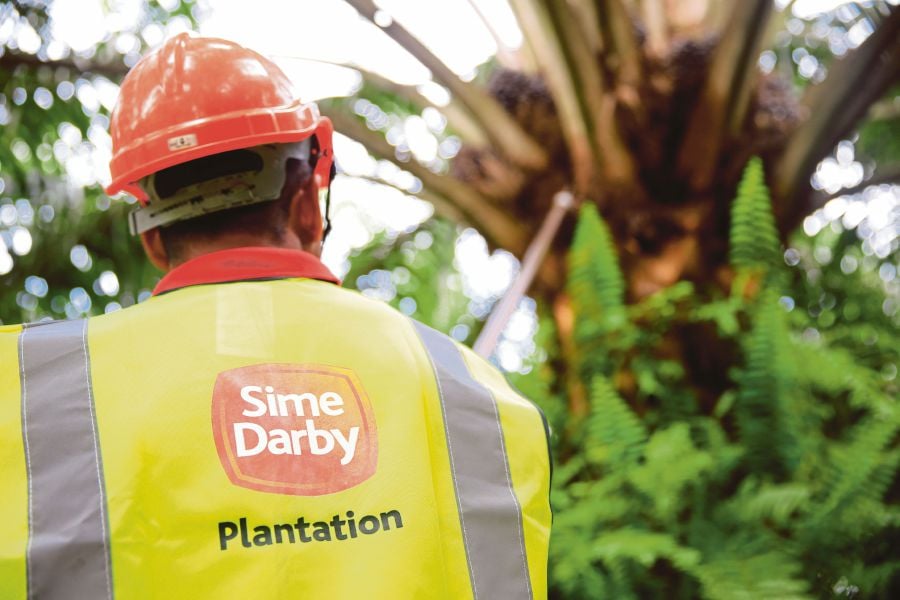 Sime Darby Plantation submits action plan to RSPO ahead of timeline ...