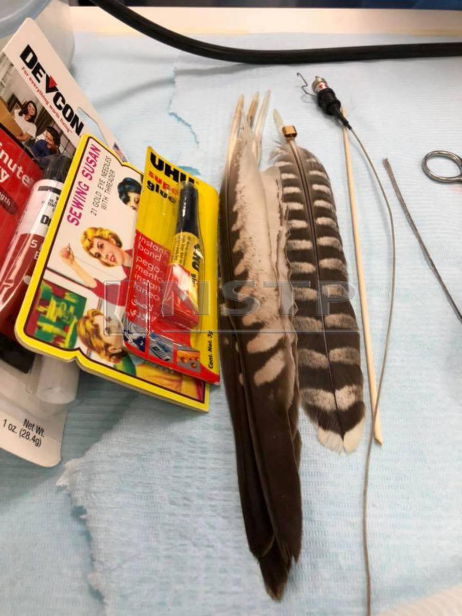 Some of the equipment used to mend the broken feathers